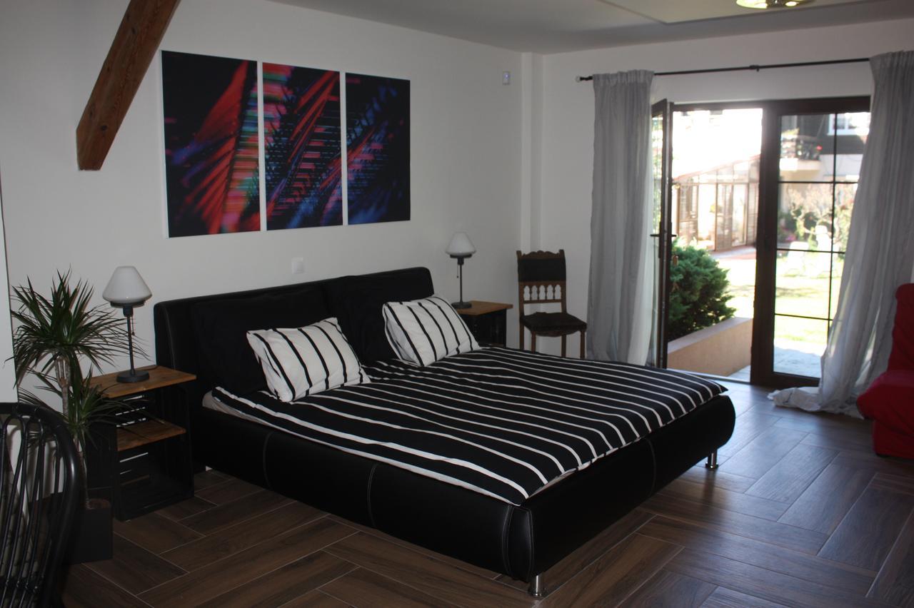 Barvicka Bed and Breakfast Tremosna Buitenkant foto