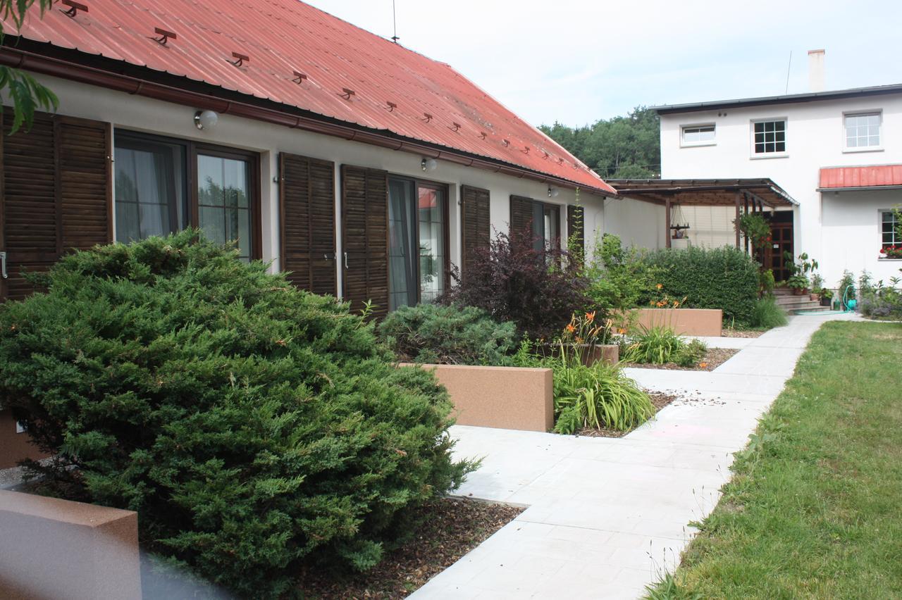 Barvicka Bed and Breakfast Tremosna Buitenkant foto