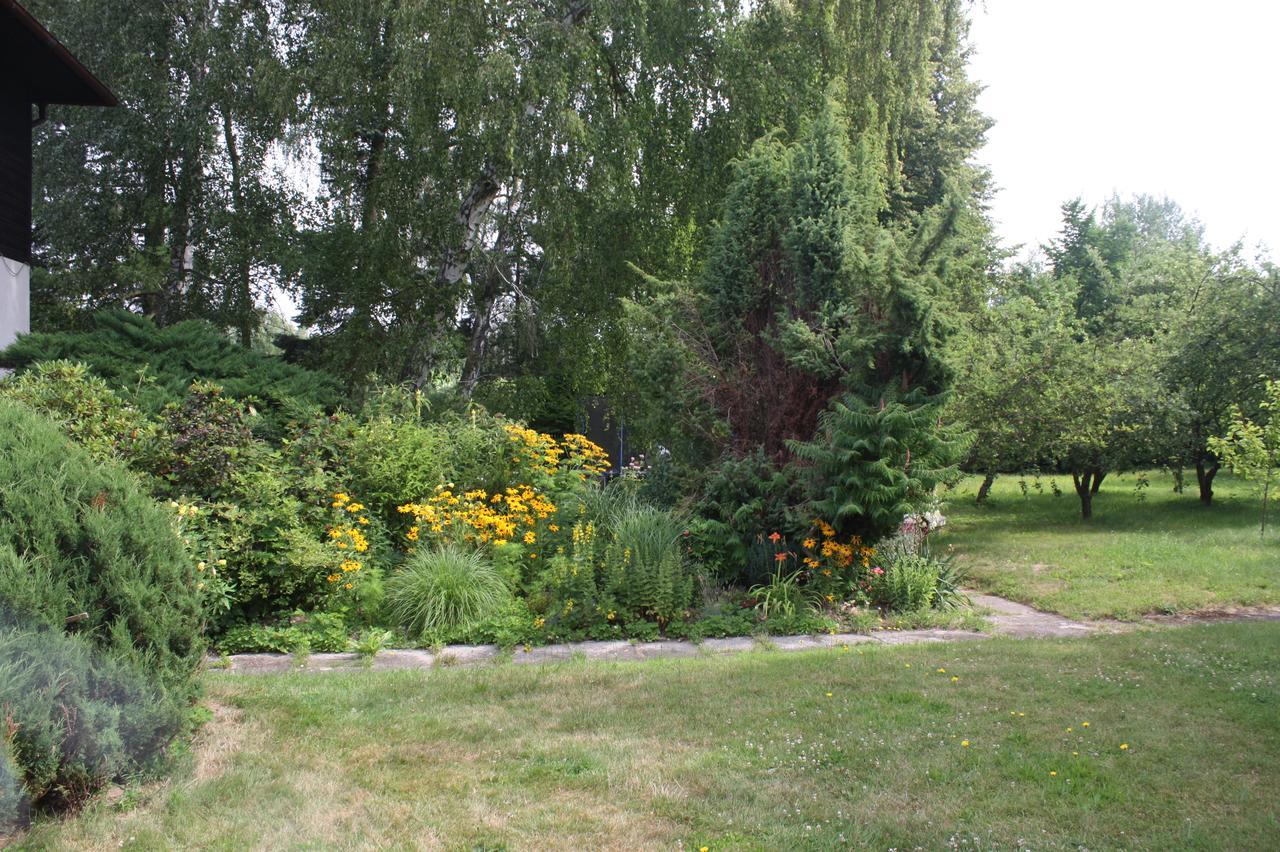 Barvicka Bed and Breakfast Tremosna Buitenkant foto