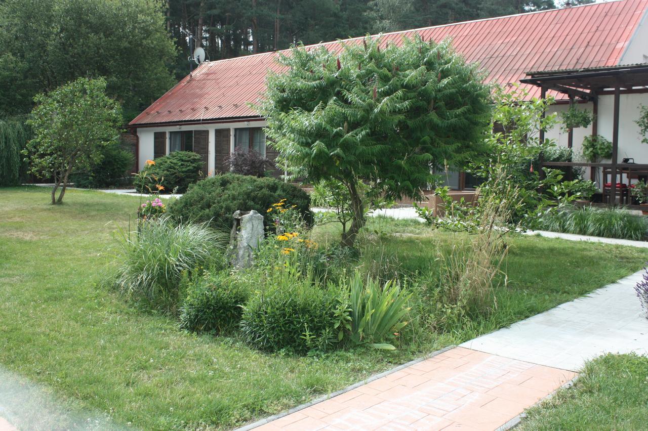 Barvicka Bed and Breakfast Tremosna Buitenkant foto