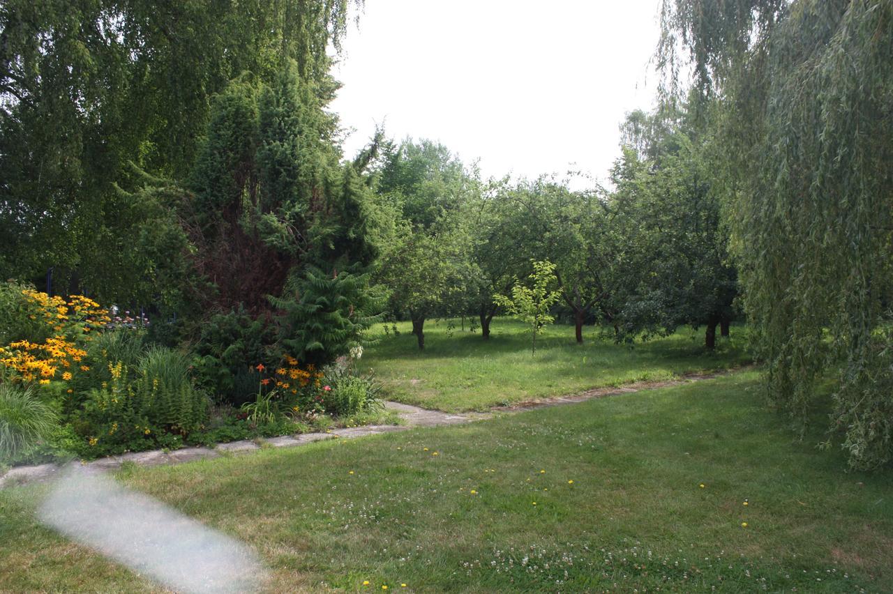 Barvicka Bed and Breakfast Tremosna Buitenkant foto