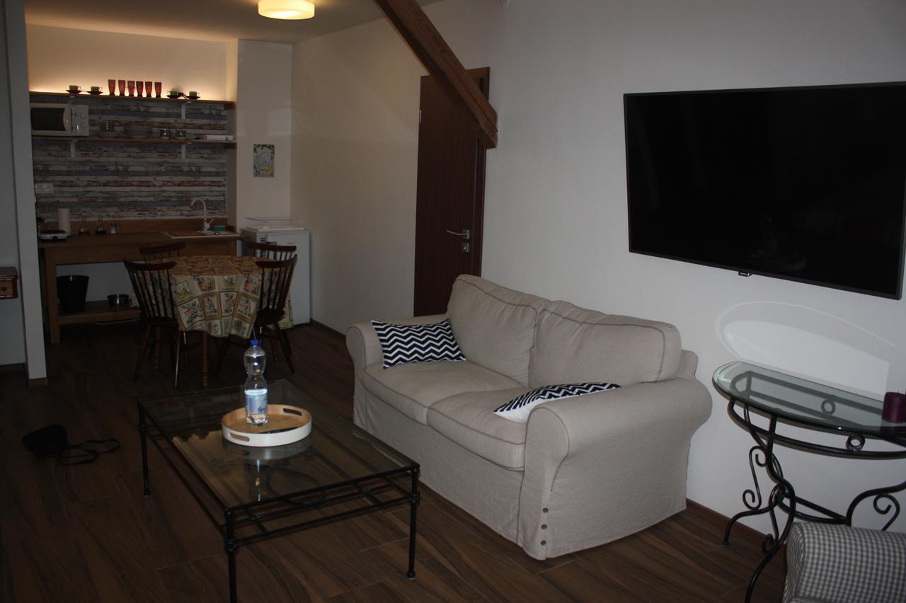 Barvicka Bed and Breakfast Tremosna Buitenkant foto