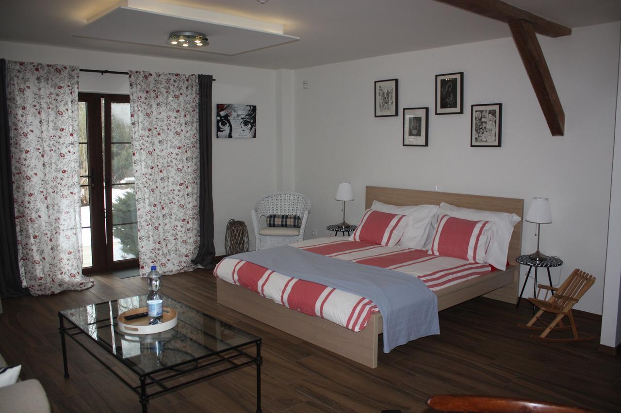 Barvicka Bed and Breakfast Tremosna Buitenkant foto