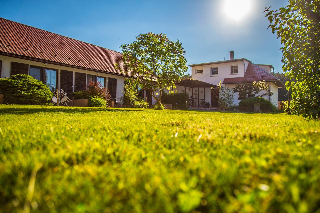 Barvicka Bed and Breakfast Tremosna Buitenkant foto